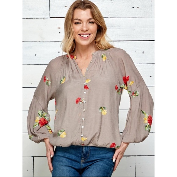 Fig and Flower Anthropologie Taupe Blouse with Vibrant Floral Embroidery - Picture 1 of 12